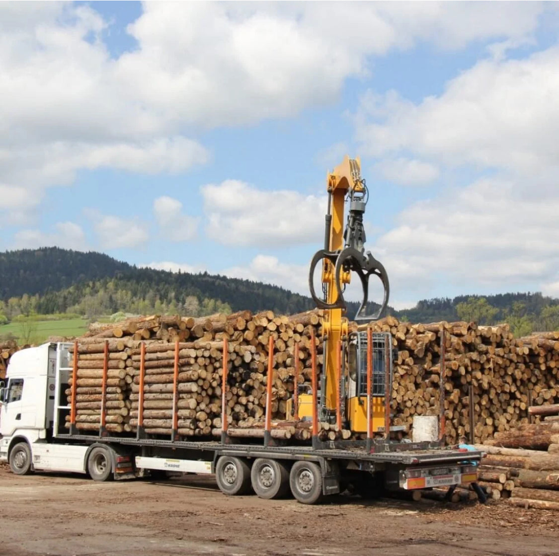 Hêtre rouge en grumes – Camion complet de 50 mètres cubes