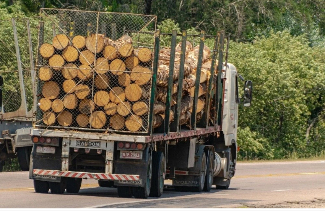 Bois rond d’acacia – camion 50 pièces